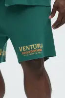 Dragon Palm Knitted Relaxed Shorts(Green/combo,S)
