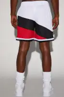 Bulls On The Bias Mesh Shorts(White/combo,S)