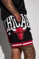 Bulls OG Mesh Shorts(Black/Red,S)