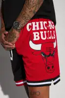 Bulls OG Mesh Shorts(Black/Red,S)