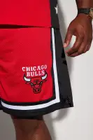 Bulls Behind The Back Mesh Shorts(Black,S)