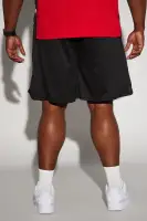 Bulls Behind The Back Mesh Shorts(Black,S)