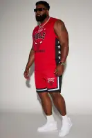 Bulls Behind The Back Mesh Shorts(Black,S)