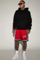 Bulls Behind The Back Mesh Shorts(Black,S)