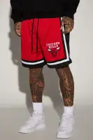 Bulls Behind The Back Mesh Shorts