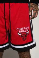 Bulls Behind The Back Mesh Shorts(Black,S)