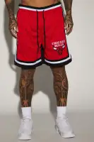 Bulls Behind The Back Mesh Shorts(Black,S)